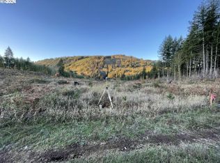 0 NE Sunset Falls Rd, Yacolt, WA 98675