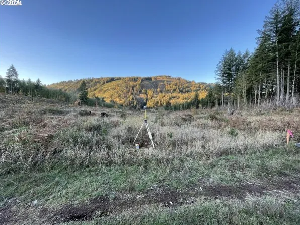 0 NE Sunset Falls Rd, Yacolt, WA 98675