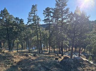 131 Pine Cone Ln, Alto, NM 88312