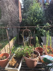 Rented by Realty Collective