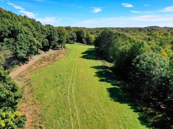 55.55 Acres BRUSH CREEK ROAD, Medford, WI 54451