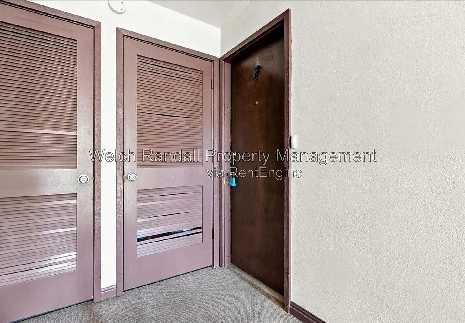 2 bed, 1.0 bath, 950 sqft, $1,345 — Photo 2