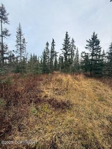 123 Johnny Rd, Kenai, AK, 99611