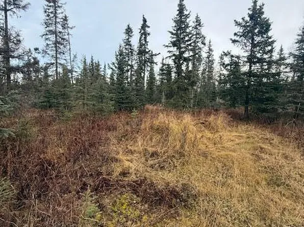 123 Johnny Rd, Kenai, AK 99611