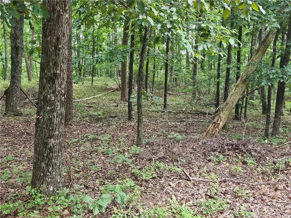 1467 Hanna Dr #1467, Ranger, GA 30734