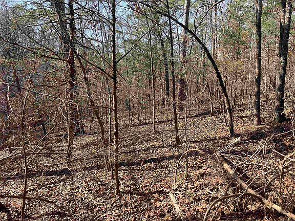 3rd image of (Undisclosed Address)