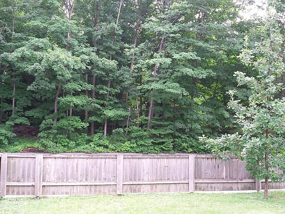 front yard looking across street