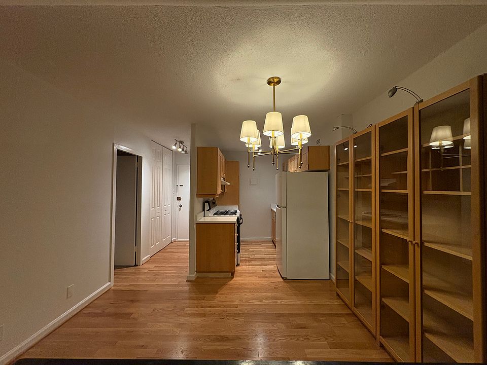 Entry Area in middle with huge coat/storage closet. Galley-style kitchen and entrance to bathroom and large walk-in closet on left.
