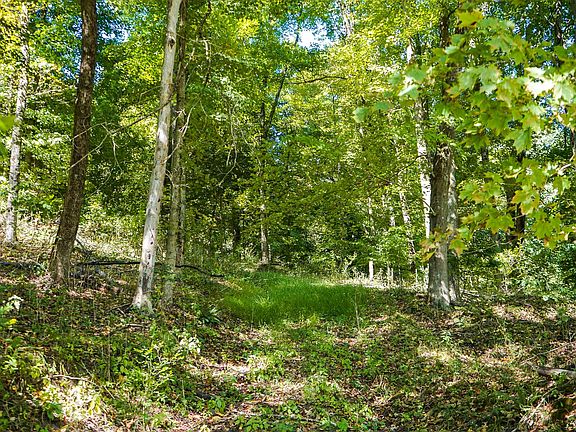 2nd image of 3505 Township Road 90