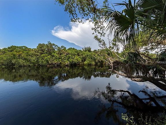 3rd image of 125 Palm Dr