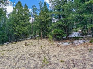 Tbd Valley Rd, Divide, CO 80814