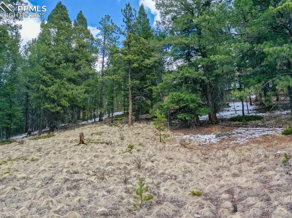 Tbd Valley Rd, Divide, CO 80814
