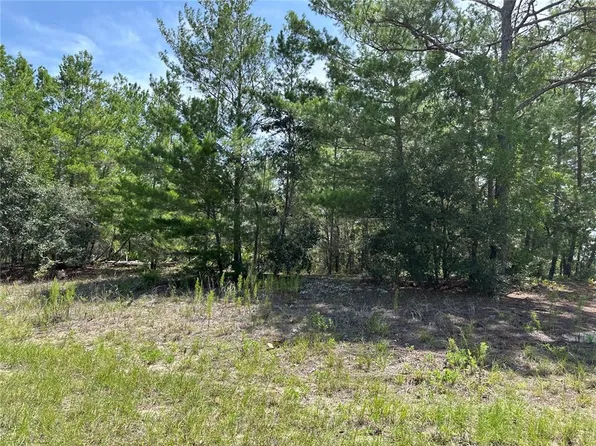 6202 N Mariner Ter Lot 4, Dunnellon, FL 34433