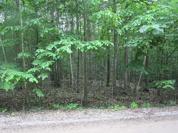 5th image of Ironwood Dr