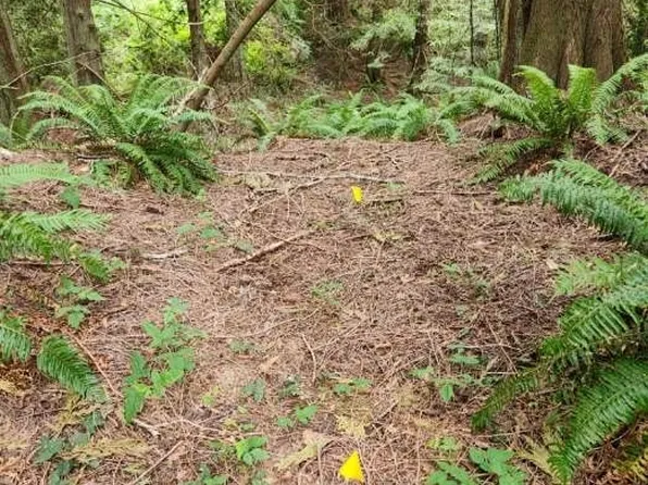 0 Bateman, Stanwood, WA 98292