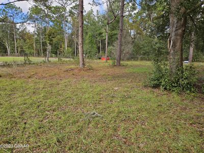 105 James Ave, Interlachen, FL, 32148