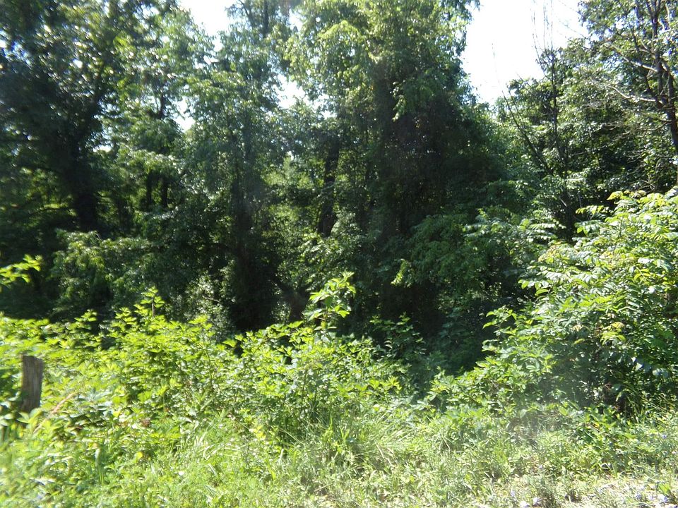 2nd image of 4768 Bryson Ln