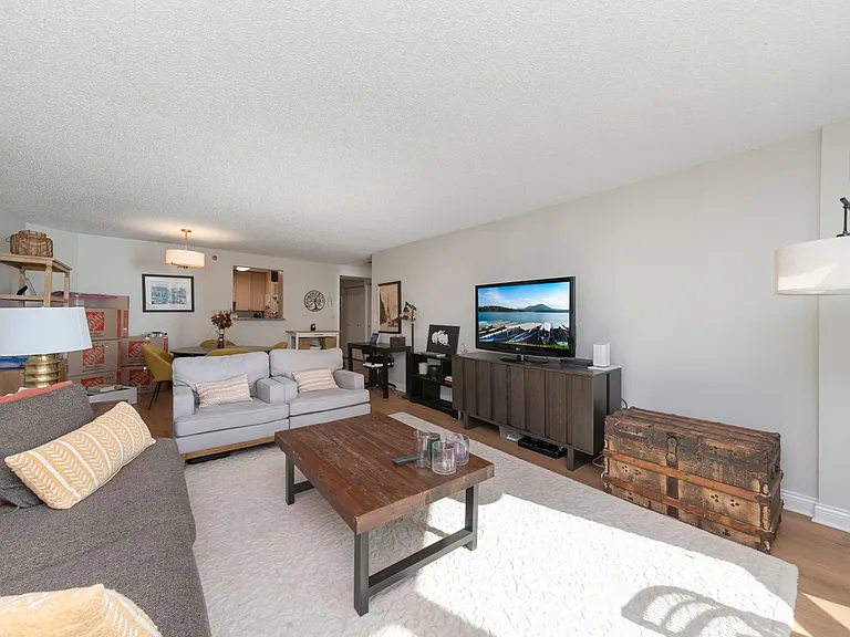 195 N Harbor Dr #1606 — Photo 14