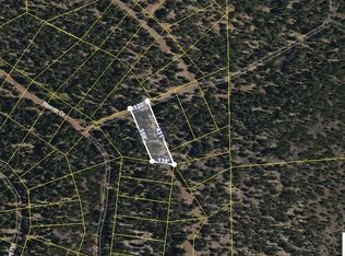 041-231-038-00 Redwood Rd, Alturas, CA 96101