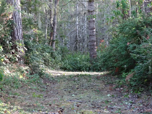 61 NE Pine Place, Tahuya, WA 98588