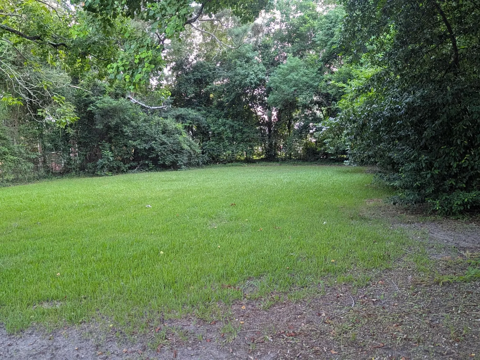 3 bed, 1000 sqft, $1,200 — Photo 4