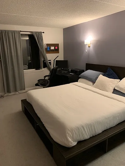 1 bed, 800 sqft, $2,450 — Photo 3