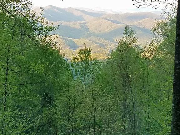 View from deck