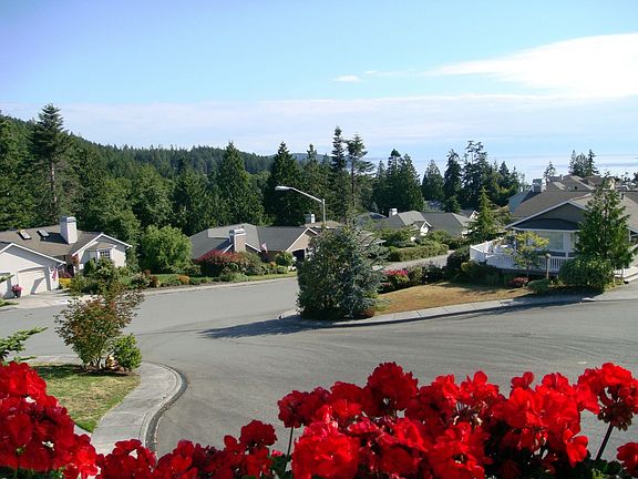 Patio View