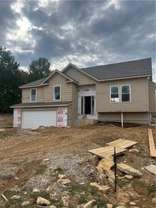 3812 SW McDanial Ave, Blue Springs, MO, 64015