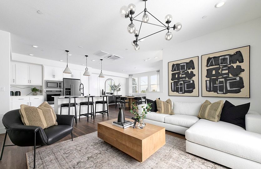 Open main living area - model representation