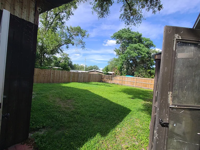 Back yard