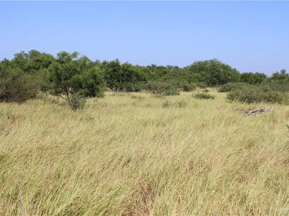0 Mile 14 Rd, Rio Grande City, TX 78582