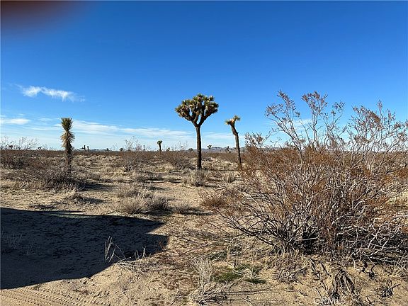 4th image of 2 Wilson Ranch Rd