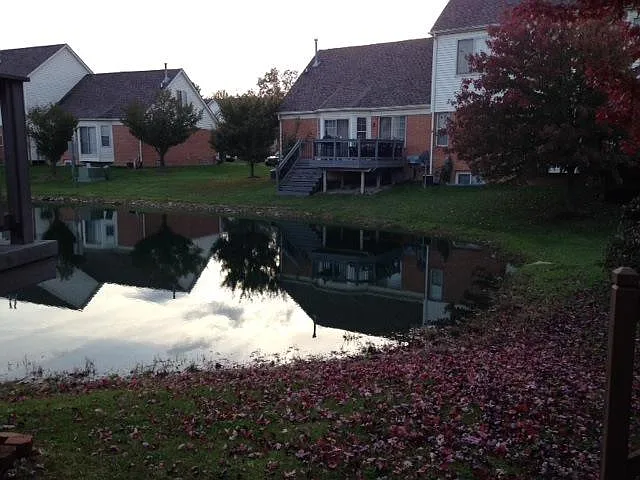 Pond View 1
