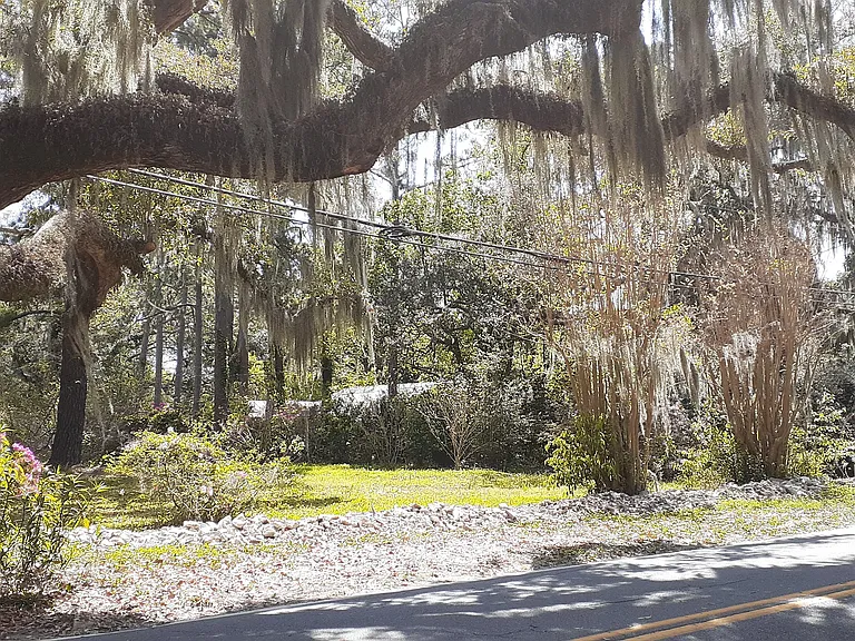 Wilmington Island Rd — Photo 116