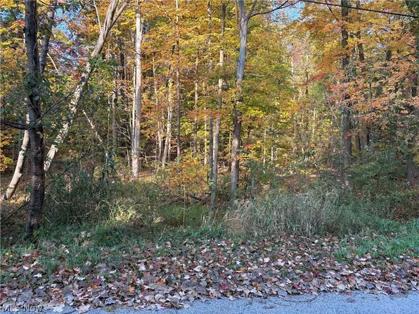 Glenstone Dr, Willoughby, OH 44094