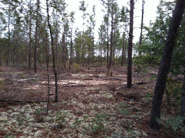 2nd image of 5053 Pine Ridge Dr
