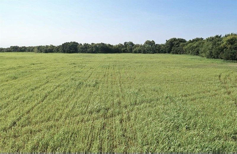 1st image of County Road 4615