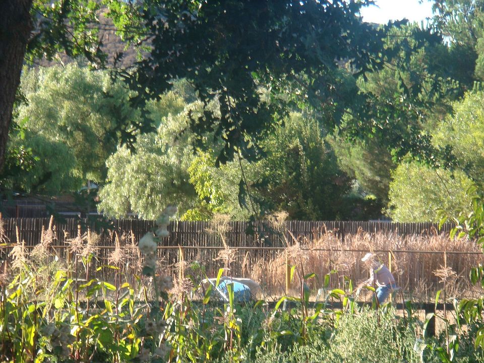 Green Valley View