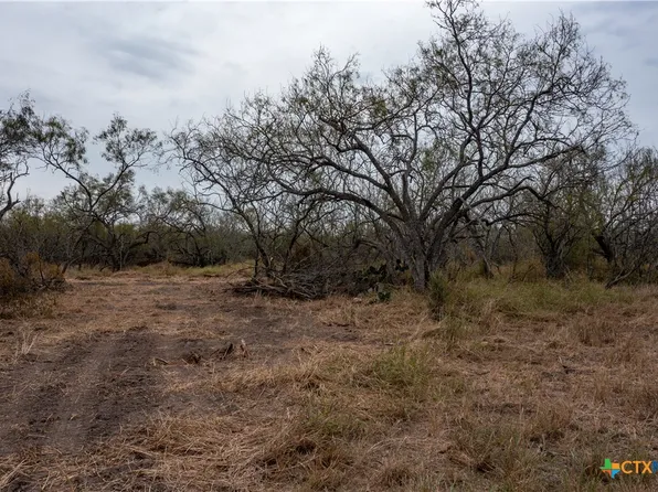 McCampbell Rd Tract F, Goliad, TX 77963