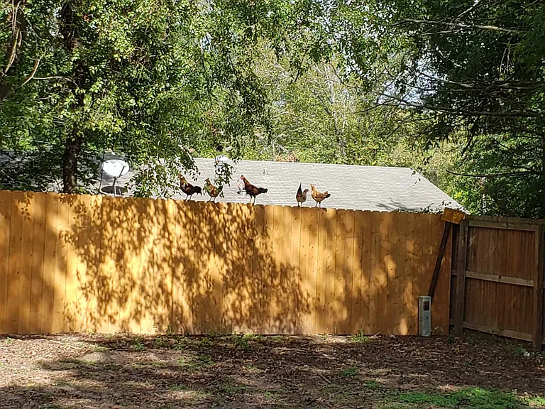 2312 Smuts Dr — Photo 32