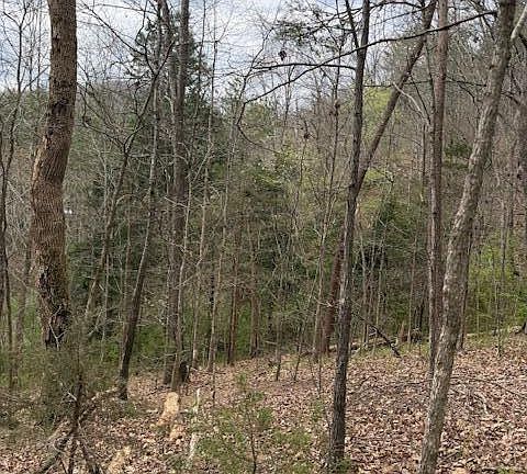 4th image of 151 Hennessy Mountain Way