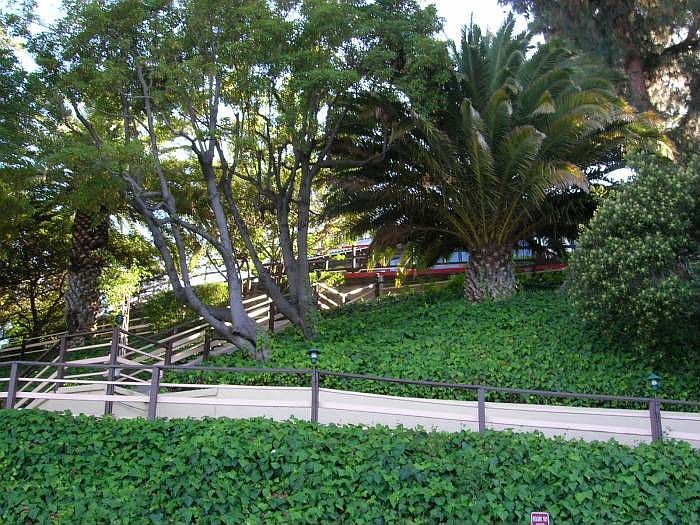 Grounds
