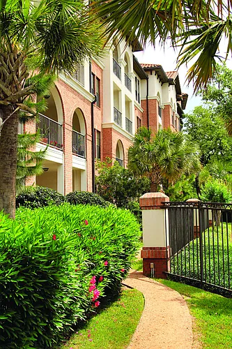 Braeswood Place Photo 1