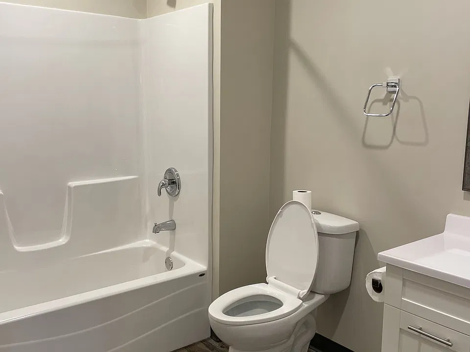 Bathroom Shower and Toilet