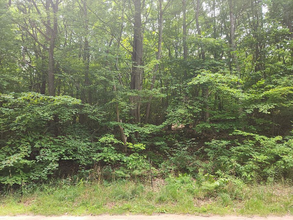 1st image of 0 S Newaygo Trl
