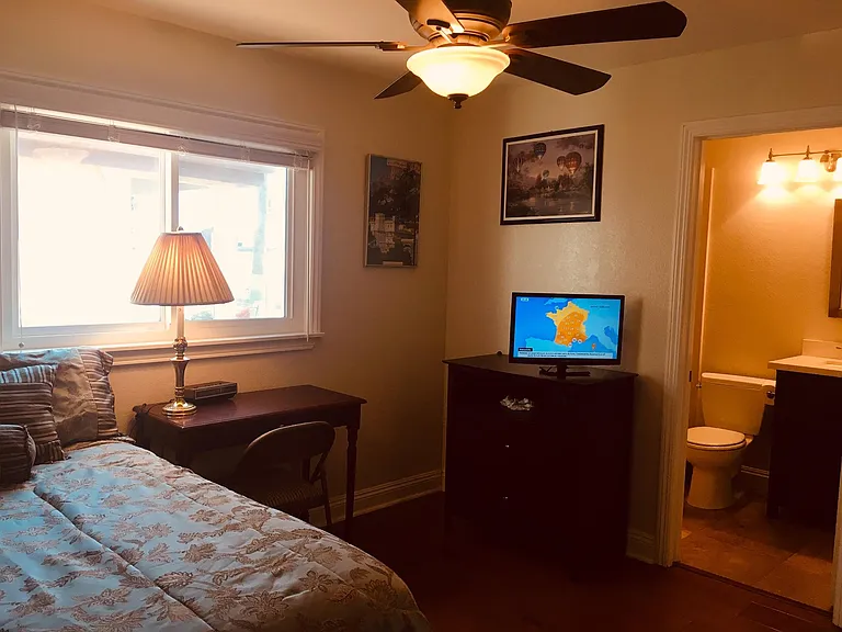 Your FURNISHED bedroom with courtyard and street views , your private FULL Bathroom with a bathtub + sparkling clean glass shower doors etc...