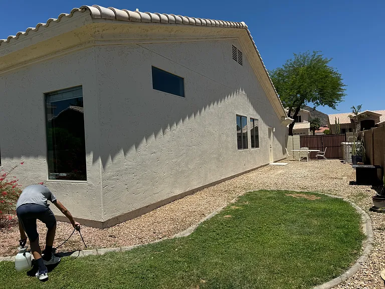 20906 N 56th Dr — Photo 5
