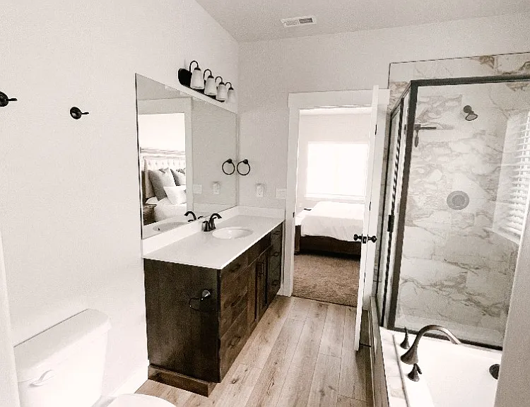 Master Bath from Closet View
