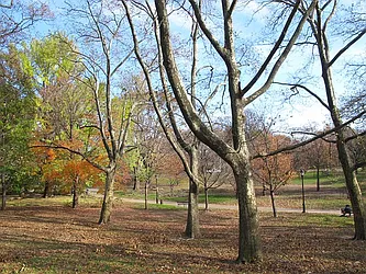 Sold by Betancourt & Associates Realty LLC